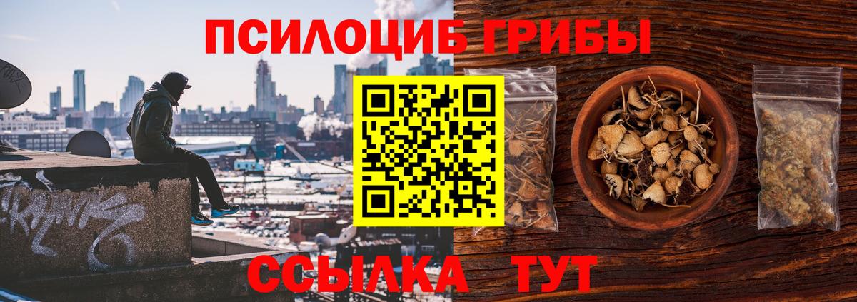 закладка  Псилоцибиновые грибы прущие грибы  Вход с VPN  Озёры 