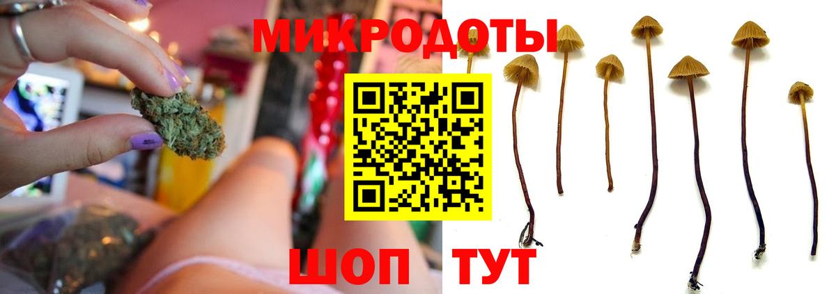 Псилоцибиновые грибы Magic Shrooms Озёры